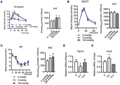 Chronic Urotensin-II Administration Improves Whole-Body Glucose Tolerance in High-Fat Diet-Fed Mice